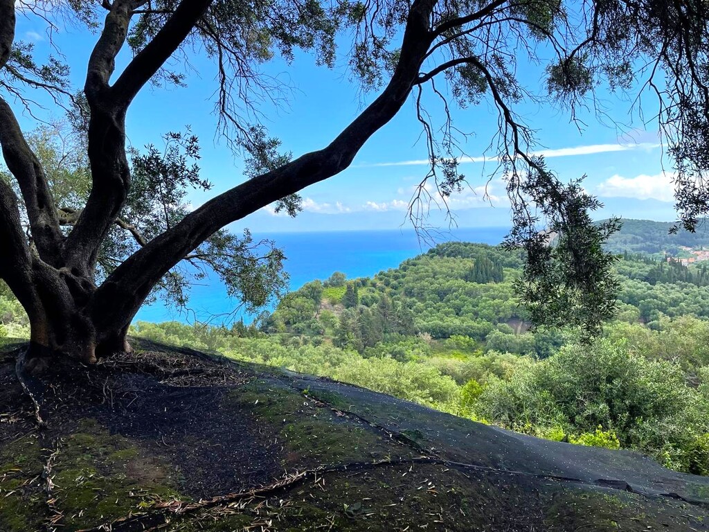 Terreno en Corfu, Greece 4337 m² No. 93027