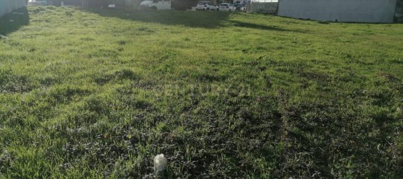 Grundstück in Matosinhos, Portugal 224m², Nr. 71890 7