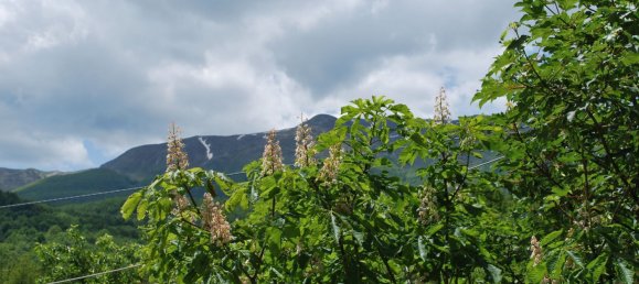 12 rooms House in Villa Minozzo, Italy No. 68122 43