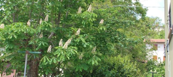 12 rooms House in Villa Minozzo, Italy No. 68122 22