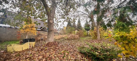 6 rooms Townhouse in Schweinfurt, Germany No. 135175 6