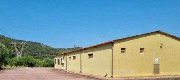 1578m² Warehouse in Priverno, Italy No. 265611 5