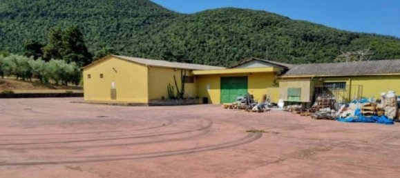 1578m² Warehouse in Priverno, Italy No. 265611 6
