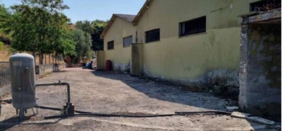 1578m² Warehouse in Priverno, Italy No. 265611 8