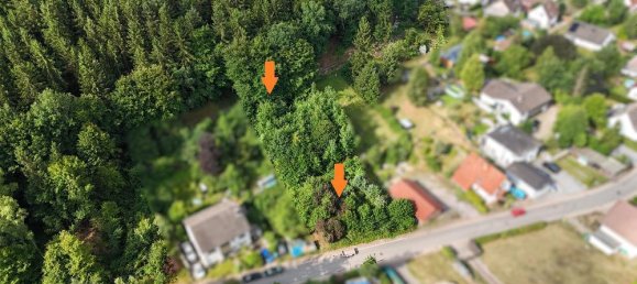  Land in Sudwestpfalz, Germany No. 235094 5