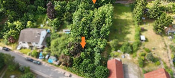  Land in Sudwestpfalz, Germany No. 235094 3