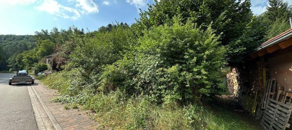  Land in Sudwestpfalz, Germany No. 235094 8