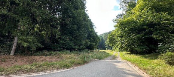  Land in Sudwestpfalz, Germany No. 235094 6