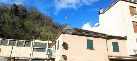 3 chambres Appartement à Genoa, Italy No. 36223 3