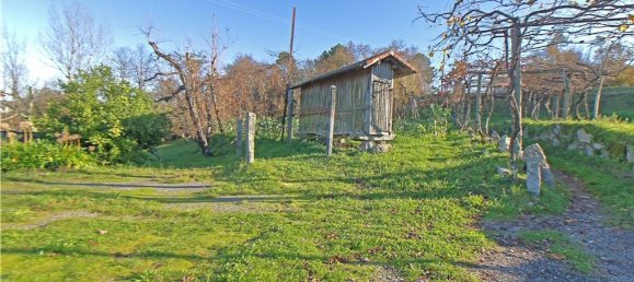 6 bedrooms House in Felgueiras, Portugal No. 60048 11