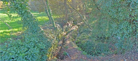 6 bedrooms House in Felgueiras, Portugal No. 60048 5