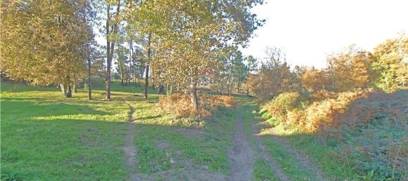 6 bedrooms House in Felgueiras, Portugal No. 60048 16