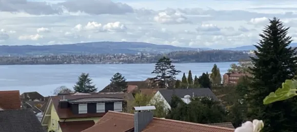 Дуплекс с 2 спальнями в Бодензе, Германия № 33423 24