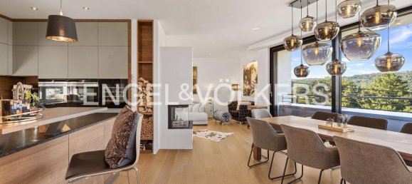 4 bedrooms Villa in Klosterneuburg, Austria No. 240286 5