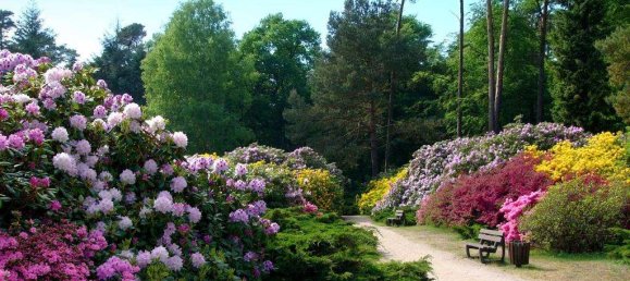 1 غرف نوم شقة في Rostock, Germany رقم 319390 12