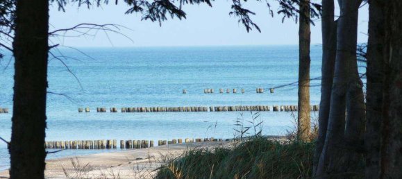 1 غرف نوم شقة في Rostock, Germany رقم 319390 13