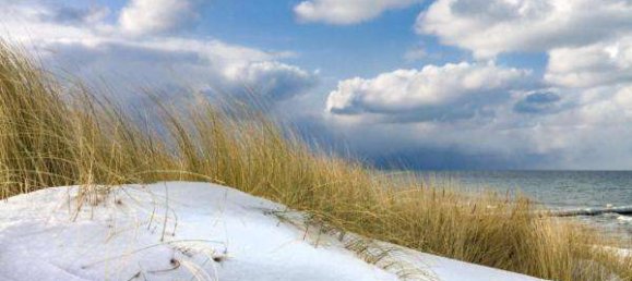 1 غرف نوم شقة في Rostock, Germany رقم 319390 10