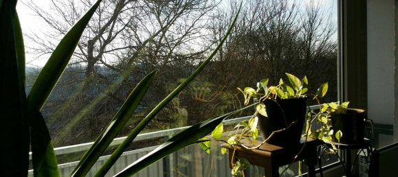 Квартира с 2 спальнями в Шлезвиг-Гольштейн, Германия № 56834 17