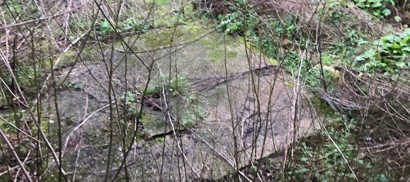 Casa T2 em Figueiró da Granja, Portugal N.º 23758 12