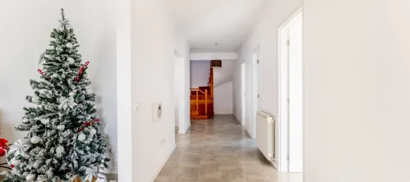 5 bedrooms House in Setubal, Portugal No. 118320 12