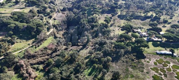 Grundstück in Sesimbra, Portugal 46750m², Nr. 113154 55