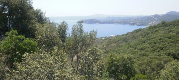 6070m² Hotel in Chalkidiki, Greece No. 3967 7