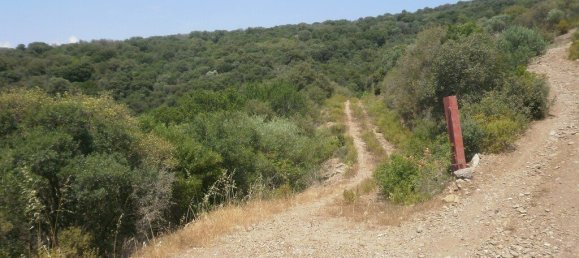 6070m² Hotel in Chalkidiki, Greece No. 3967 2