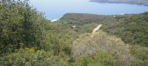 6070m² Hotel in Chalkidiki, Greece No. 3967 4