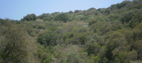 6070m² Hotel in Chalkidiki, Greece No. 3967 3