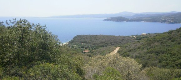 6070m² Hotel in Chalkidiki, Greece No. 3967 5