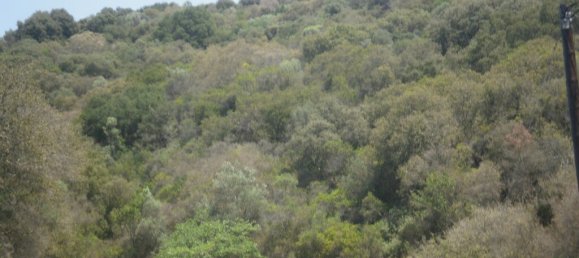 6070m² Hotel in Chalkidiki, Greece No. 3967 6