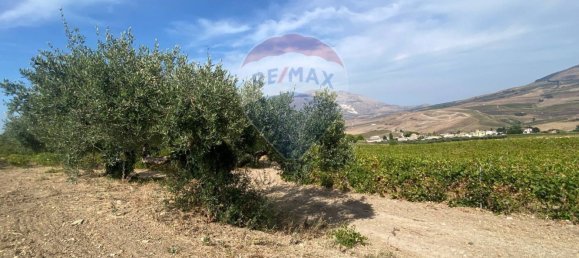 1 bedroom House in Buseto Palizzolo, Italy No. 337972 11