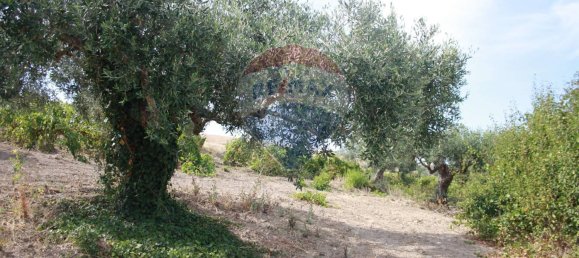 1 bedroom House in Buseto Palizzolo, Italy No. 337972 10