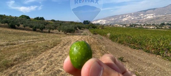 1 bedroom House in Buseto Palizzolo, Italy No. 337972 14