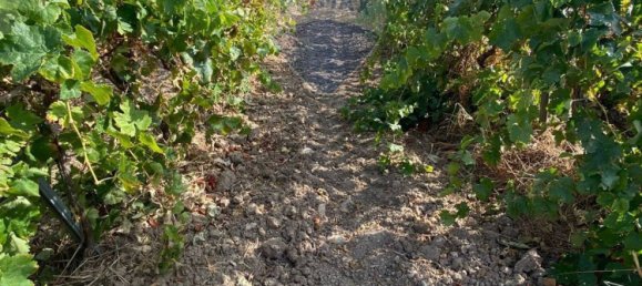 1 bedroom House in Buseto Palizzolo, Italy No. 337972 16