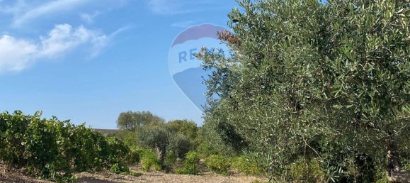 1 bedroom House in Buseto Palizzolo, Italy No. 337972 12