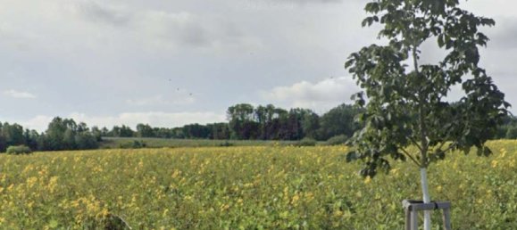 Grundstück in Brandenburg an der Havel, Germany, Nr. 230872 3