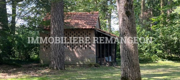 7 bedrooms House in Villeny, France No. 264931 19