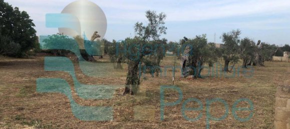 Terreno em Presicce Acquarica, Italy 3359 m² N.º 330019 2