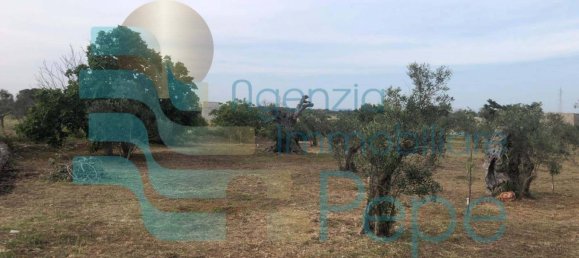 Terreno em Presicce Acquarica, Italy 3359 m² N.º 330019 3