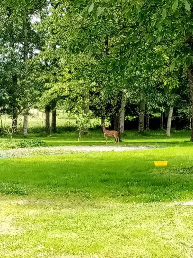 3 chambres Châteaux à Aubenton, France No. 239584
