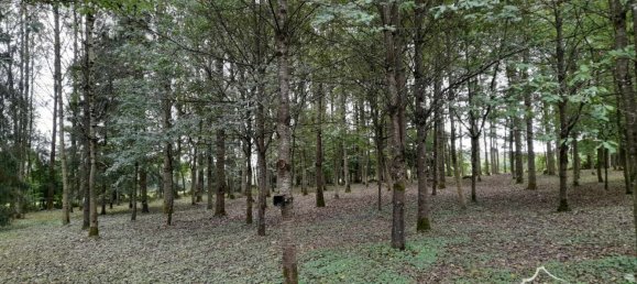 3 chambres Châteaux à Aubenton, France No. 239584 4