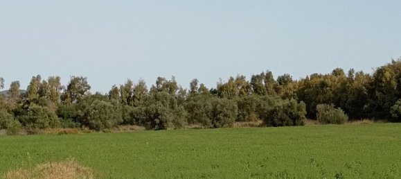  قطعة أرض في Alghero, Italy 34000متر مربع رقم 256233 6