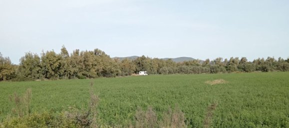  قطعة أرض في Alghero, Italy 34000متر مربع رقم 256233 7