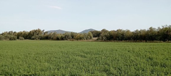  قطعة أرض في Alghero, Italy 34000متر مربع رقم 256233 4