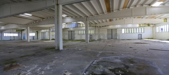 Armazém em Udine, Italy 5811 m² N.º 170119 19