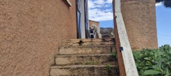 2 غرف نوم منزل في San-Nicolao, France رقم 304179 3