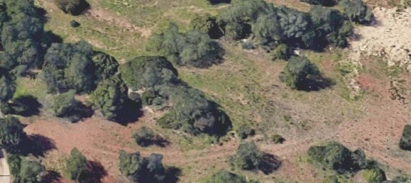 1350m² Land in Faro, Portugal No. 111135 4