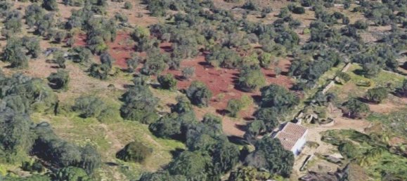 1350m² Land in Faro, Portugal No. 111135 5