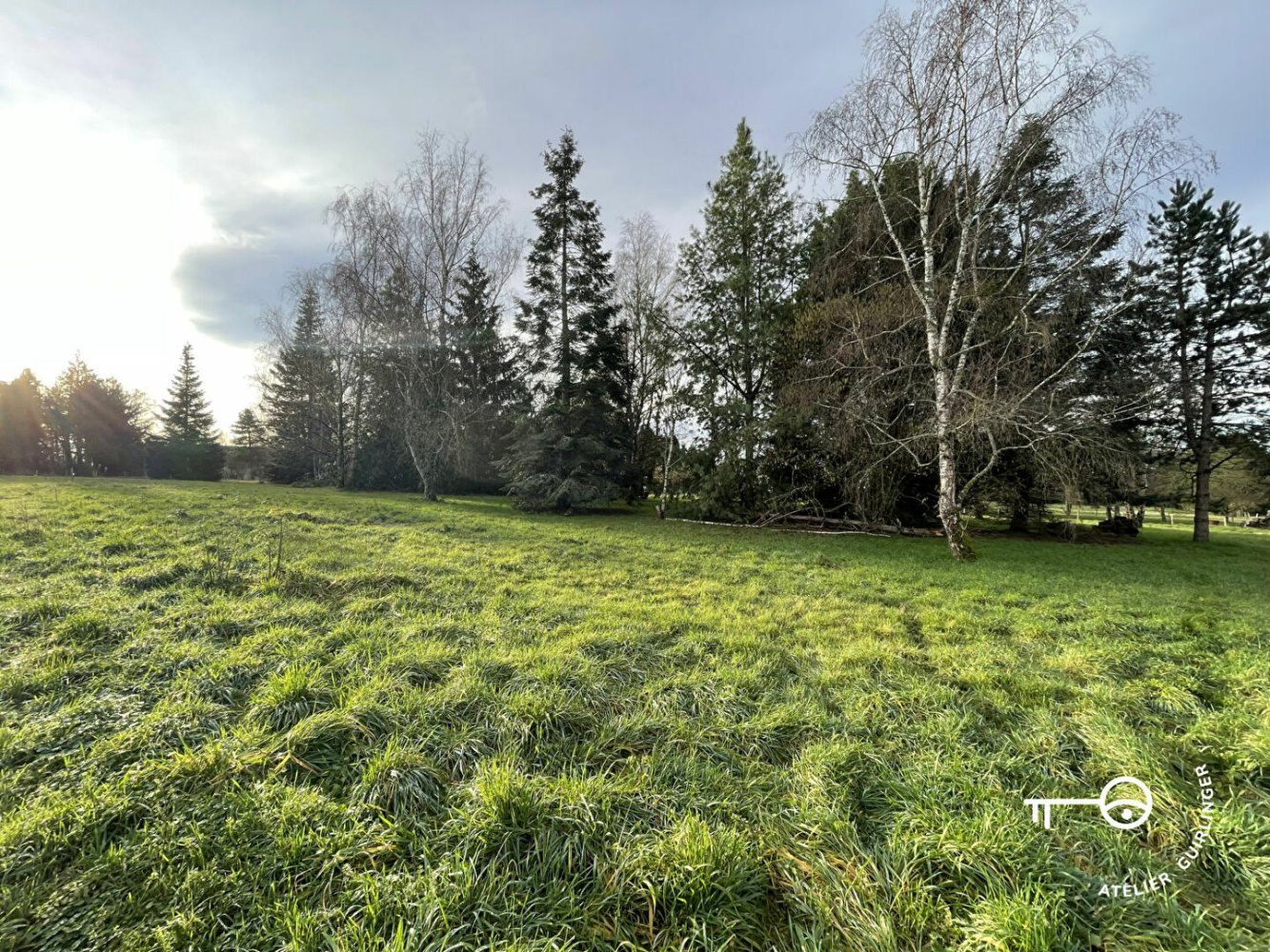  Land in Montrieux-en-Sologne, France No. 93780